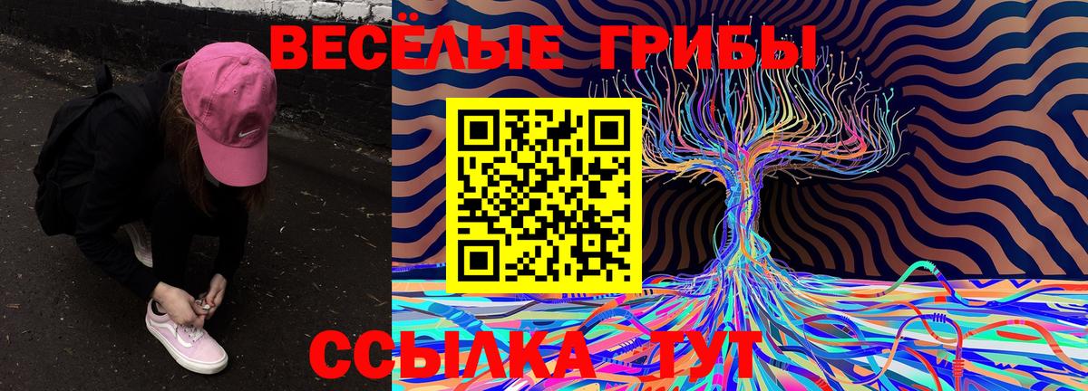 Людиново  Галлюциногенные грибы Cubensis  Вход с VPN 